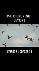 Prehistoric Planet Season 1 Episode 1 Coast Part 14 #PrehistoricPlanet #PrehistoricEarth #dinosaur #dinosaurplanet #tyrannosaurusrex #trex | Prehistory, Nature and Science