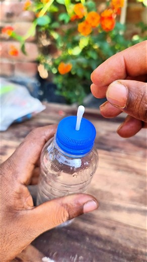 Genius DIY Self_Watering System Made from a Plastic Bottle..!!