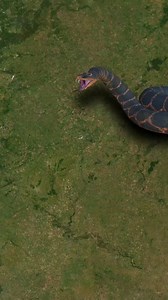 Welcome to Snake Island in Brazil — one of the most dangerous places on Earth! This remote island is home to thousands of golden lancehead vipers, one of the world’s deadliest snakes. Their venom can melt human flesh in minutes, and with so many of them packed into a tiny area, it’s said there’s one snake every square meter. So deadly that no humans live here, and the Brazilian government strictly bans visitors, except for scientists with special permits. Snake Island is proof that not all parad