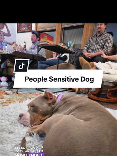 Setting Up Zoey for Success: A Training Journey