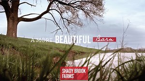 64K views · 1.3K reactions | We are so proud to reveal the first installation of our A More Beautiful Barn project and to be able to show our immense gratitude for the hard work of our 700 independent farmers. | Shady Brook Farms | Facebook