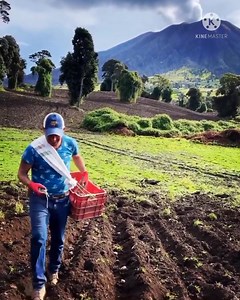 Muy buenos días desde la zona norte de Cartago. 💙 A vísperas de celebrar el 204 aniversario de vida independiente, les compartimos este lindo video desde las faldas del volcán Turrialba. 🌋 Trabajo honrado y honesto, haciendo grande a Costa Rica. 🇨🇷💪 En el video: Fernando Obando, vecino de Capellades de Alvarado, Cartago. | Pacayas de Alvarado, Cartago, CR