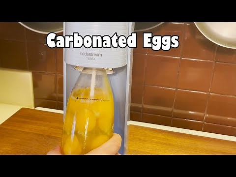 Carbonated Eggs (NSE)