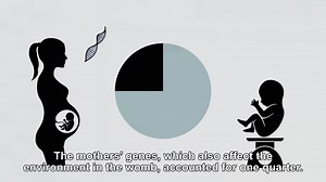 343K views · 5.6K reactions | How the genes of the mother and child...