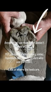 We hear a lot about hoof mapping. Here's the thing... Landmarks on the foot can be affected by distortion. The COBIT is NOT. The COBIT is NOT affected by distortion. The COBIT is NOT ONE SIZE FITS ALL! We are here to help. If you are interested in understanding how the COBIT can be used on different sizes of feet, please reach out. Already using a COBIT, we can help. Not sure if you would like to try the COBIT, ask us about your horse, or a horse you are working on. Office - 306-693-3939 Our dir