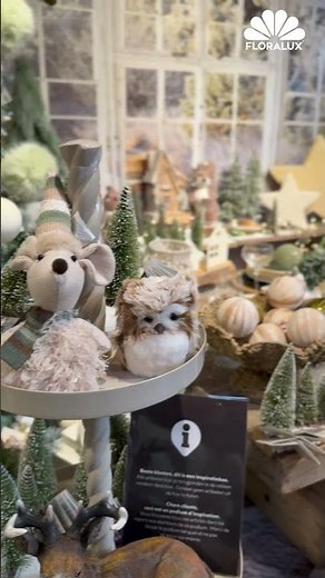 Floralux kerstdecoratie/décorations de Noël: Cosy by Nature @ Sint-Pieters-Leeuw