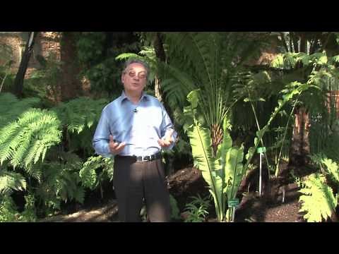 Évolution des espèces et biodiversité, Muséum national d'Histoire naturelle, itv de Robert Barbault