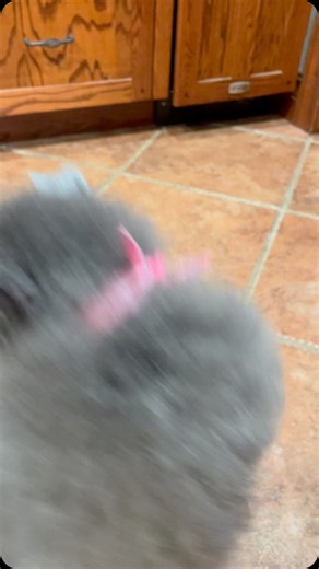 Insta Luna Gram🥳🫶🏻 on Instagram: "Story time💖"