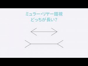 【サイエンスプロジェクト】ミュラーリヤー錯視【錯視】