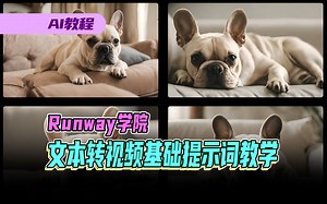 Runway学院-AI文本转视频基础提示词解说教学_哔哩哔哩_bilibili
