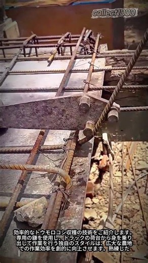 職人技！鉄筋を綺麗に曲げる驚きの加工プロセス #worker #process #construction #architecture #tools