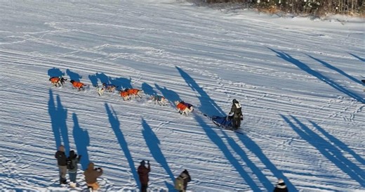 Dog Sled Racing