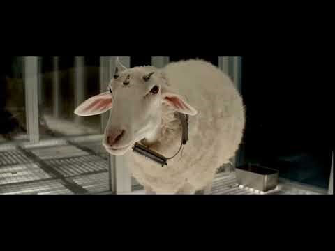 Sheep, Octopus Eyes, and Cosmic Terror: What’s Next for Alien: Earth?