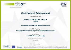 STEM in my Classroom