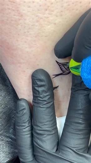 Realistic Small Birds Tattoo Process with Linework Stipple Whip Pepper Shading Technique by Tattoo Artist AlexKonti