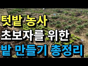 A complete guide to gardening for beginnersㅣThis is how to do your first weekend farm!