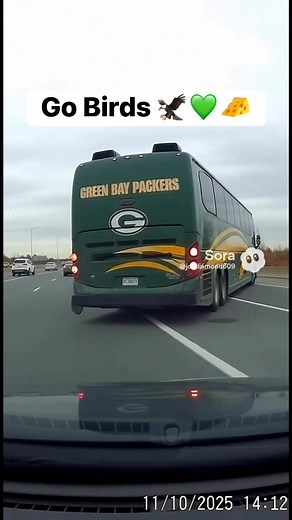 “He just killed a cone!!” 😂🦅💚 #gobirds #football #FlyEaglesFly #greenbaypackers #mnf #PhivsGB | Joe Diamond