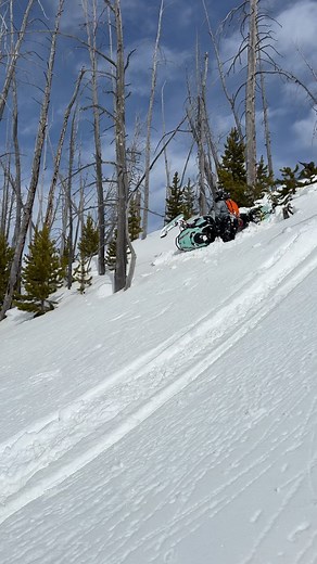 6.3K views · 41 reactions | Chicks dig battle scars right? #thatskidoofeeling #skidoo #freeride #turbo #snowmobilefails #snowmobile #sledding #backcountry #onx #onxoffroad #fail #battlescars #chicksdigscars #montana #reel #instagram #anotherbestday #moumtains | Joe Jj Exton | Facebook