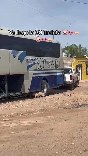 ##b #banda #musicos #zacatecas #30treinta