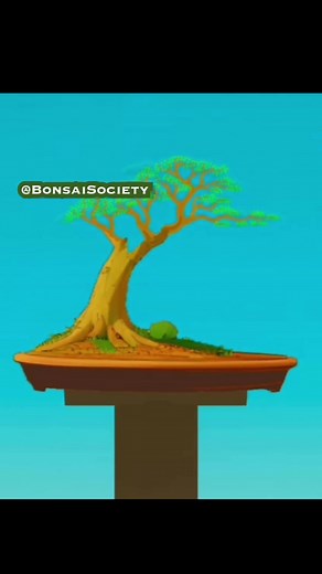 Understanding the Ramification Process of Bonsai Trees