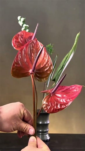 Ancient Charm in a Bottle: Handball's Spring Posture & Red Palm Mystery