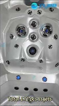 JOYEE New 5 Persons Jacuzzi Spa 172PCS Water Jets Hot Tubs/Model: California