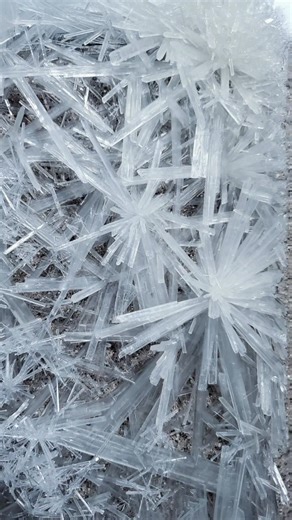 potassium nitrate science experiment #shorts #science #viral