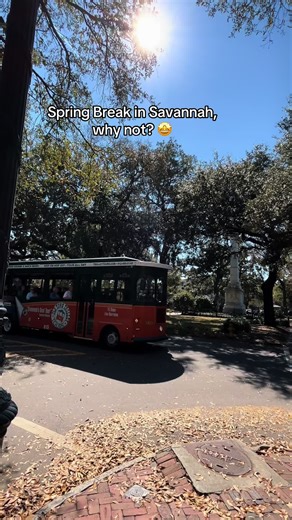 Spring Break in Savannah Georgia