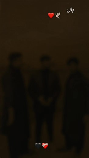 Warraich🦁 (@warraich.86282)’s videos with original sound - Warraich🦁