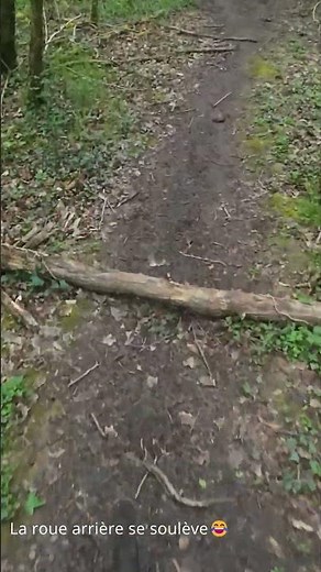 Une branche… et la roue arrière décolle 😬💥 #vtt #mtb #fail