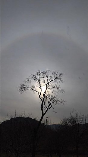 Solar halo (Sun ring)