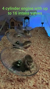 42K views · 90 reactions | 4 cylinder engine with up to 16 intake valves #reel #Nguyễnthanh | Azure Nguyễn | Facebook