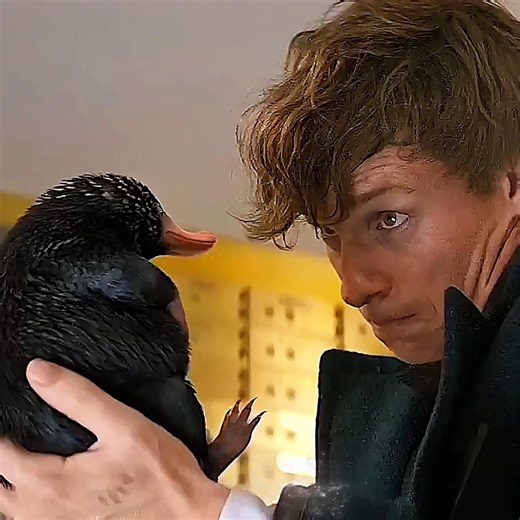Niffler's Funniest Bank Heist 😂💰 | Fantastic Beasts #shorts