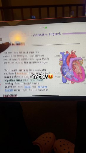 Transform Your Note-Taking with FreeNotes