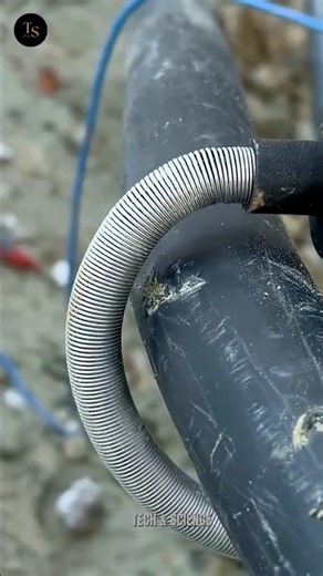 Holiday Tester #shorts #youtubeshorts