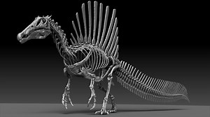 Spinosaurus 2020 version Full Set Skeletons Sculpt Project