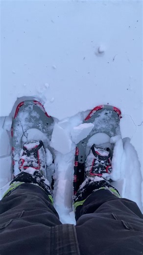 Fixing fence in January requires snow shoes! #alaska #farmlife #homestead #fyp #foryoupage #fypシ #tiktok #alaskalife