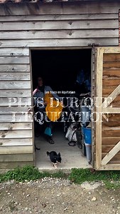 Les trucs en équitation plus dur que l’équitation 🐴 👉🏻 Régler ses étriers sur les selles du club 🐎 #horse #equestrian #lol | PonyCorn le blog