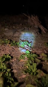 Soo amazing cooking and delicious. | Love Food