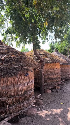 Exploring Fulbe Culture Through Travel Experiences