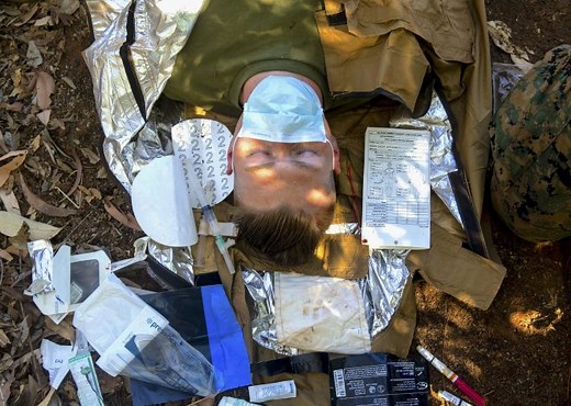 'Valkyrie' Blood Transfusion System Hopes to Give Marines, Sailors Fighting Chance on the Battlefield - USNI News