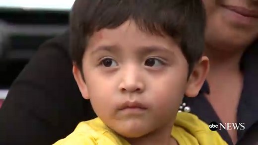 Stuffed cow toy saves boy's life