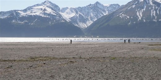 2022 Fishing Report Wrap-up