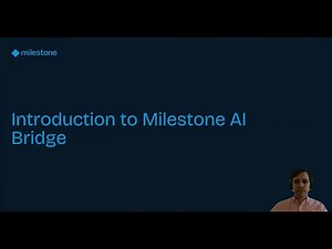 1 - Introduction to AI Bridge