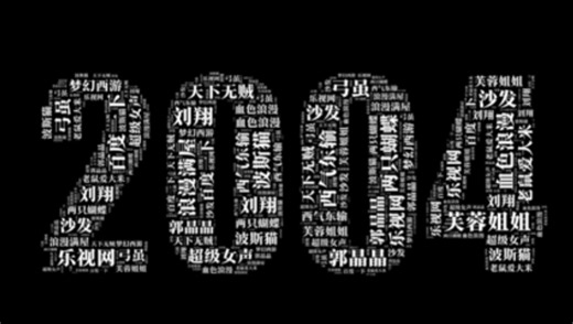 2004年，到底发生了什么？