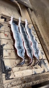 4.7M views · 13K reactions | Have you ever tried unagi? 路‍♂️ Unagi...