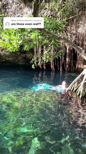 Sia Shells on TikTok