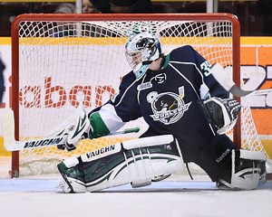 2014 NHL Draft: Top Draft-Eligible Prospect Goalies (North America) - The Hockey Writers Latest News, Analysis & More