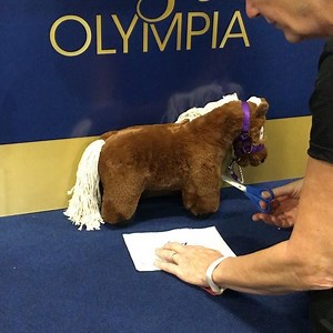Crafty Ponies quarter marks! 1. Cut a paper stencil. 2. Brush Crafty’s hair until it is smooth 3. Put the paper stencil in position, hold the stencil still. 4. Brush Crafty’s hair in the opposite direction. 5. Enjoy the effect! @olympiahorselookbook @olympiahorse | Crafty Ponies