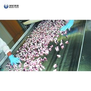 [Hot Item] High Efficiency in China Fish Shrimp Spiral Quick Freezer (IQF)